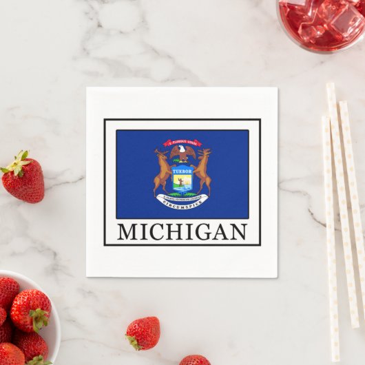 Michigan Serviette (Beispiel)