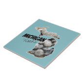 Michigan-Silhouette mit Petoskey-Steinen gefüllt Fliese (Seite)