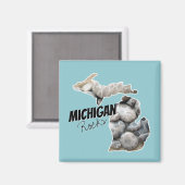 Michigan-Silhouette mit Petoskey-Steinen gefüllt Magnet (Vorderseite/Rückseite)
