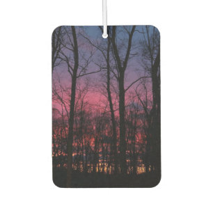 Michigan-Sonnenuntergangs-Auftragftischer Autolufterfrischer