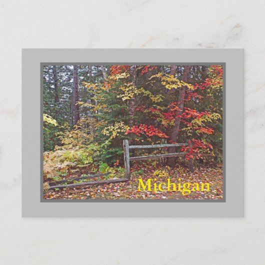 "MICHIGAN"/SPLIT-SCHIENENZENTRUM UND -FARBEN" POSTKARTE (Vorderseite)