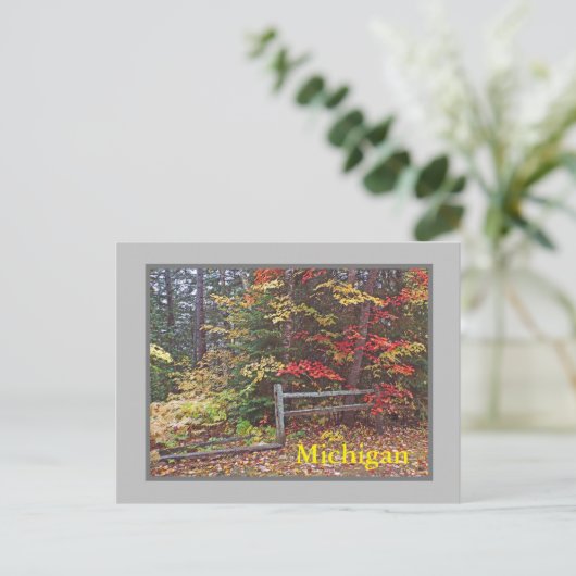 "MICHIGAN"/SPLIT-SCHIENENZENTRUM UND -FARBEN" POSTKARTE (Stehend Vorderseite)