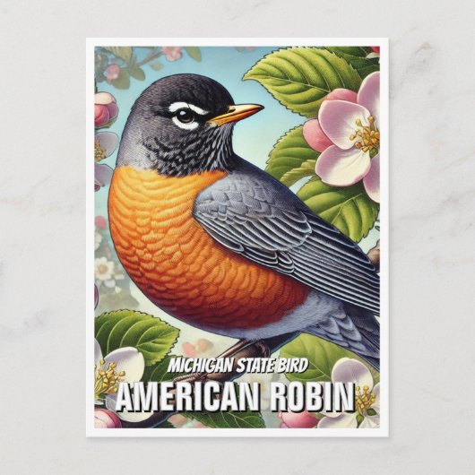Michigan Staat Bird American Robin Postkarte (Vorderseite)