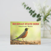 Michigan Staat Bird Robin Postkarte (Stehend Vorderseite)