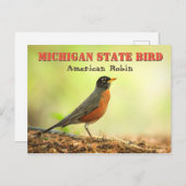 Michigan Staat Bird Robin Postkarte (Vorne/Hinten)