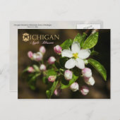 Michigan Staat Blume: Apple Blossom Postkarte (Vorne/Hinten)