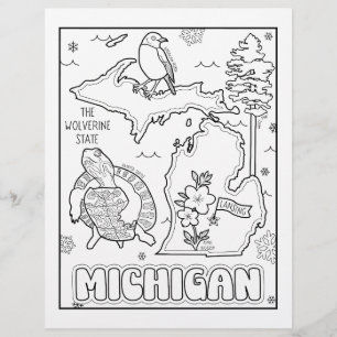 michigan Staat form and fakt colour page Flyer