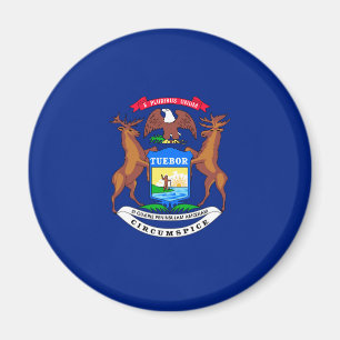 Michigan-Staats-Flaggen-Entwurf Magnet