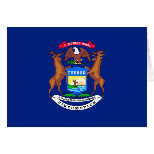Michigan State Flag Design (Vorderseite (Horizontal))