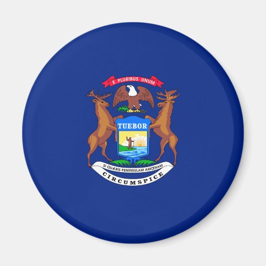 Michigan State Flag Design Magnet (Vorne)
