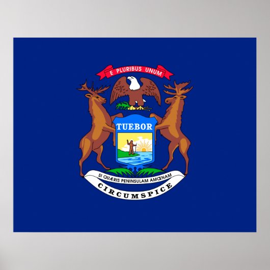 Michigan State Flag Design Poster (Vorne)
