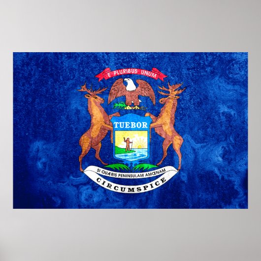 Michigan State Flag Grunge Poster (Vorne)