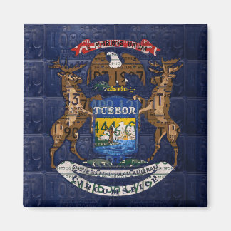 Michigan State Flag in License Teller Magnet