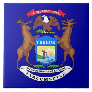 Michigan State Flag Tile Fliese