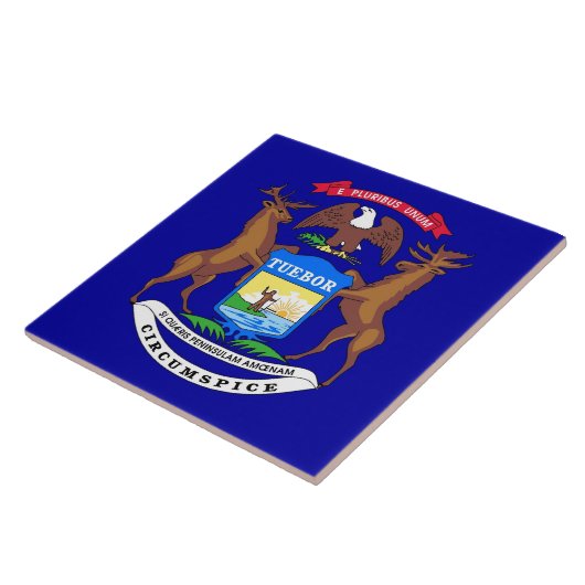 Michigan State Flag Tile Fliese (Seite)
