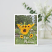 Michigan Summer Sunflower Postcard Postkarte (Stehend Vorderseite)