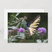 Michigan Swallowtail Butterfly Postkarte (Vorne/Hinten)