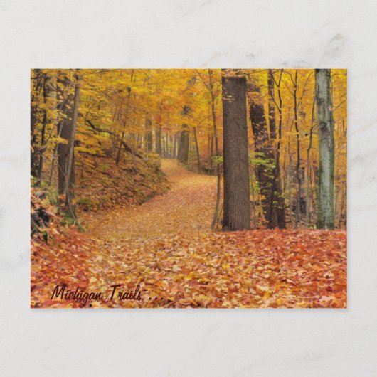 Michigan Trails Postkarte (Vorderseite)