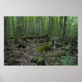 Michigan-Waldprint Poster (Vorne)