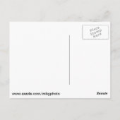 Michigan Waterfall Postkarte (Rückseite)