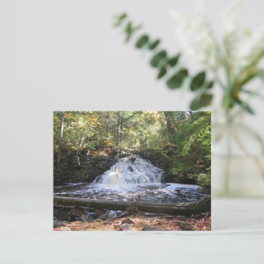Michigan Wilderness Waterfall Postkarte (Stehend Vorderseite)