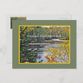 MICHIGAN ZEIGT IHRE FARBEN/HERBSTFARBEN VON POS POSTKARTE (Vorne/Hinten)