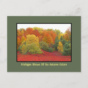 Michigan zeigt seine Herbstfarben Postkarte