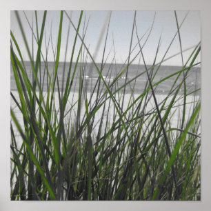Michigansee hinter Gras Poster