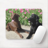 Mick u. Patsy in den Tulpen 011 Mousepad (Mit Mouse)