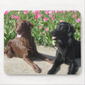 Mick u. Patsy in den Tulpen 011 Mousepad (Vorne)