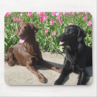 Mick u. Patsy in den Tulpen 011 Mousepad