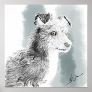 Mickey-Hund zeichne Poster