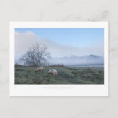 Mickleton, Cotswolds Postkarte (Vorderseite)