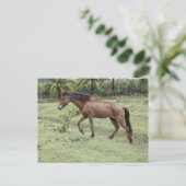 Micoud2 Postkarte (Stehend Vorderseite)