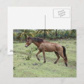 Micoud2 Postkarte (Vorne/Hinten)