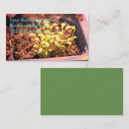 Microgreens Visitenkarte (Vorne/Hinten)