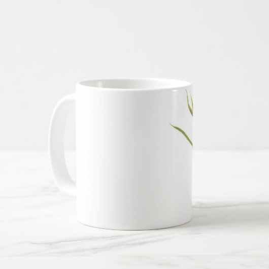 Microhabitat Tasse (Vorderseite Links)