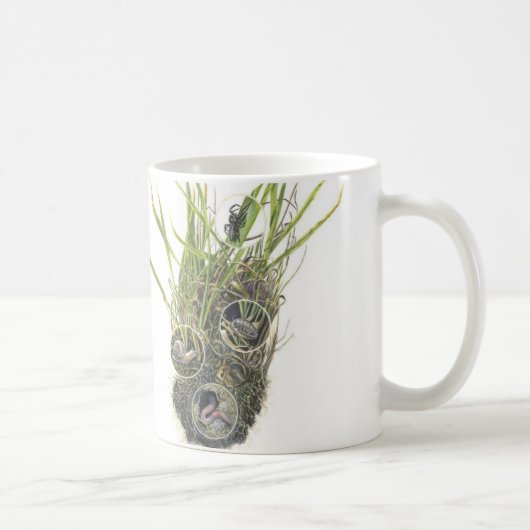 Microhabitat Tasse (Rechts)