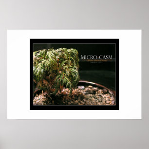 Microkosmos Poster