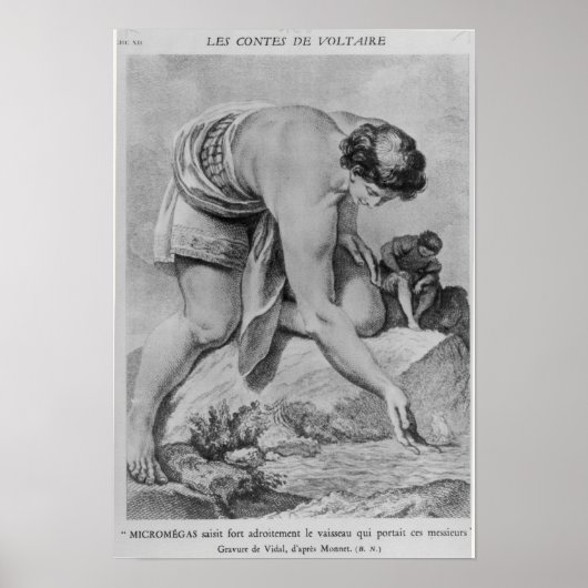 Micromegas holt geschickt das Schiff ein Poster (Vorne)