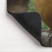 Micronesia Kingfisher Mousepad (Ecke)