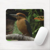 Micronesia Kingfisher Mousepad (Mit Mouse)