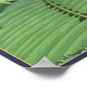 Microraptor Omnivory Poster (Ecke)