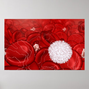 Microscopic look at blood cells poster