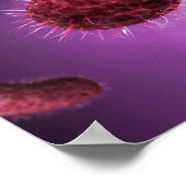 Microscopic View Of Bacteria 2 Poster (Ecke)