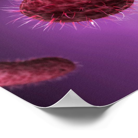 Microscopic View Of Bacteria 2 Poster (Ecke)