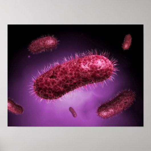 Microscopic View Of Bacteria 2 Poster (Vorne)