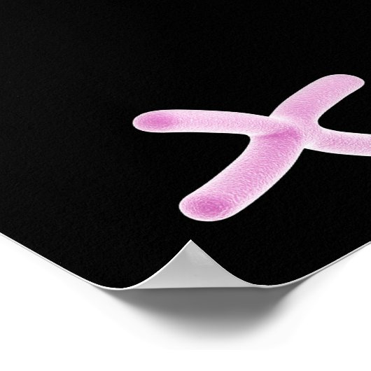 Microscopic View Of Chromosome 2 Poster (Ecke)