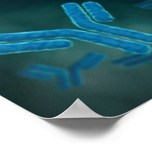 Microscopic View Of Immunoglobulin G Molecules. Poster (Ecke)