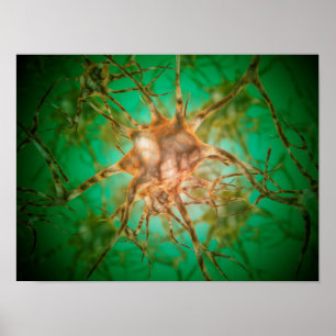 Microscopic View Of Multiple Nerve Cells 1 Poster